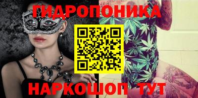 a pvp Кингисепп