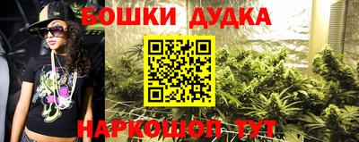 a pvp Кингисепп